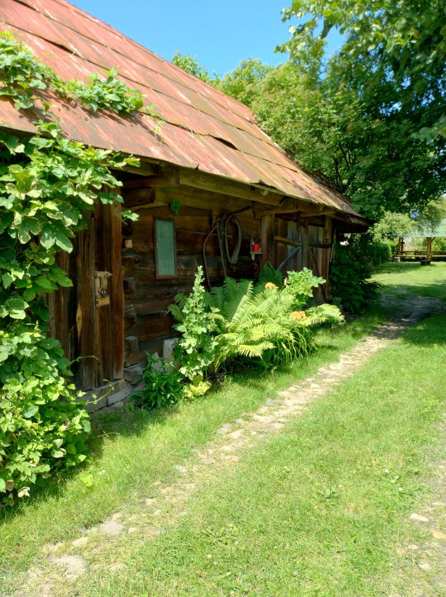 Białowieża Dom Sloneczko Pokoje Do Wynajecia W Bialowiezy מראה חיצוני תמונה