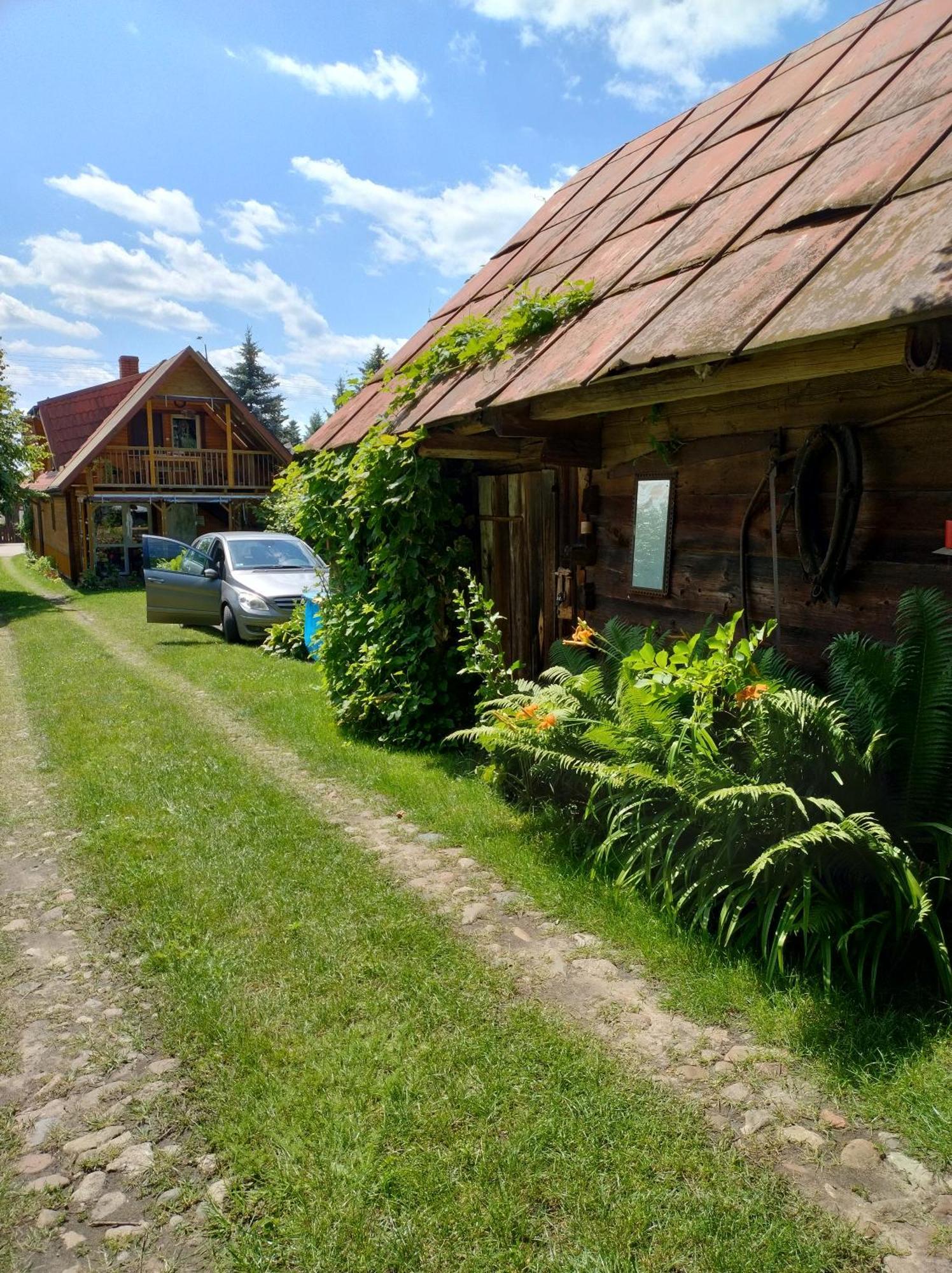 Białowieża Dom Sloneczko Pokoje Do Wynajecia W Bialowiezy מראה חיצוני תמונה